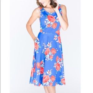 Angelou Agnes and Dora Royal Blue dress